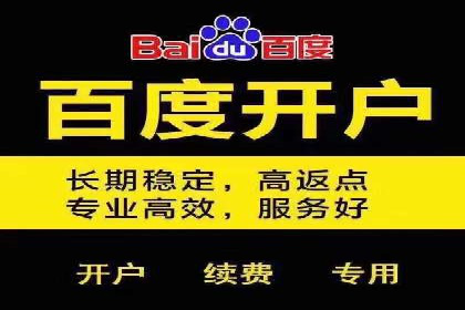 百度竞价价格优化，成功案例解析